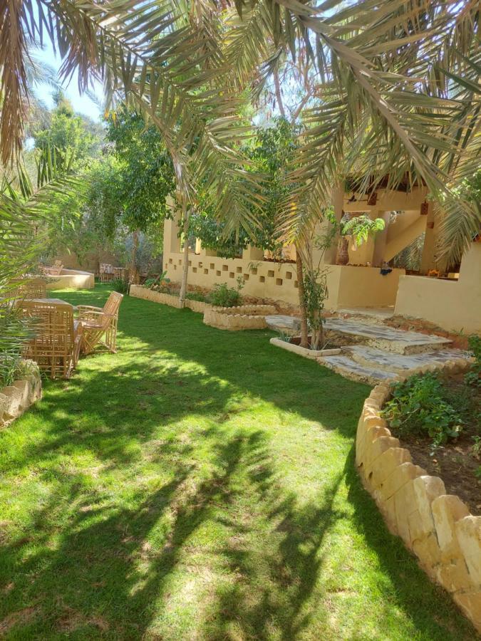 Nour El Waha Hotel Siwa Oasis Esterno foto